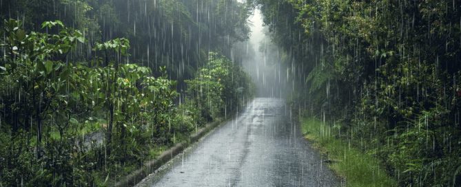 Tiempo en Cofrentes